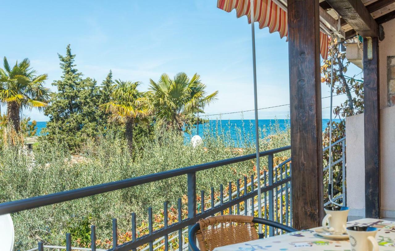 Apartment Valerio Novigrad Istria Exterior foto